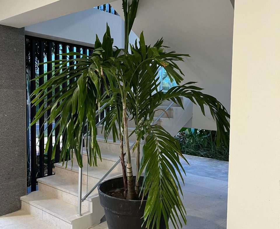 GARDEN SUITES Apartamentos Modernos en Cocotal Golf Punta Cana