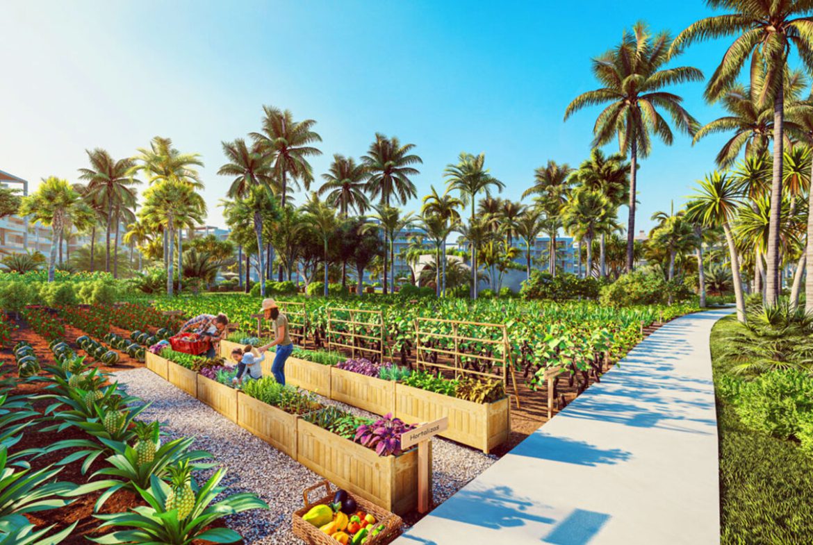 The Seed Apartamentos en Punta Cana Playas Cercanas