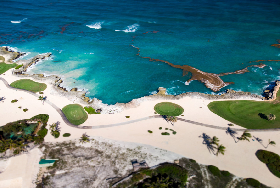 Harbor Bey: Vive en Lujo y la Exclusividad en la Marina de Cap Cana