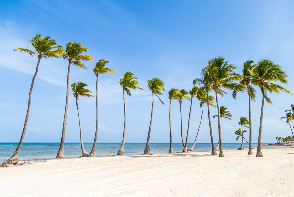Harbor Bey: Vive en Lujo y la Exclusividad en la Marina de Cap Cana