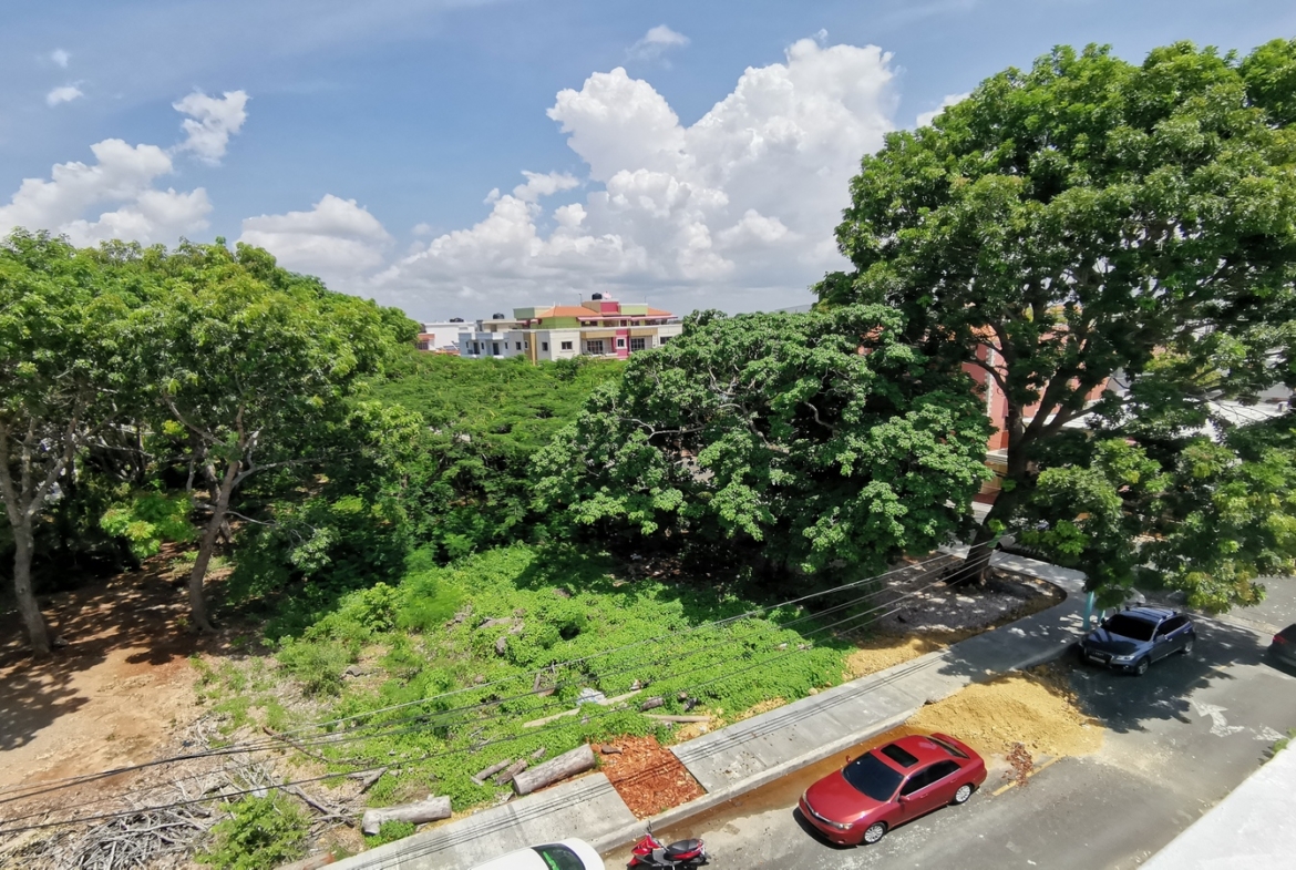 Rey Luís IX un Hogar Perfecto