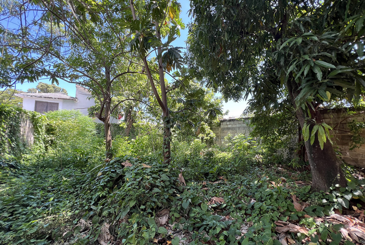 Terreno Con Casa en Venta Alma Rosa II Con Mucho Patio