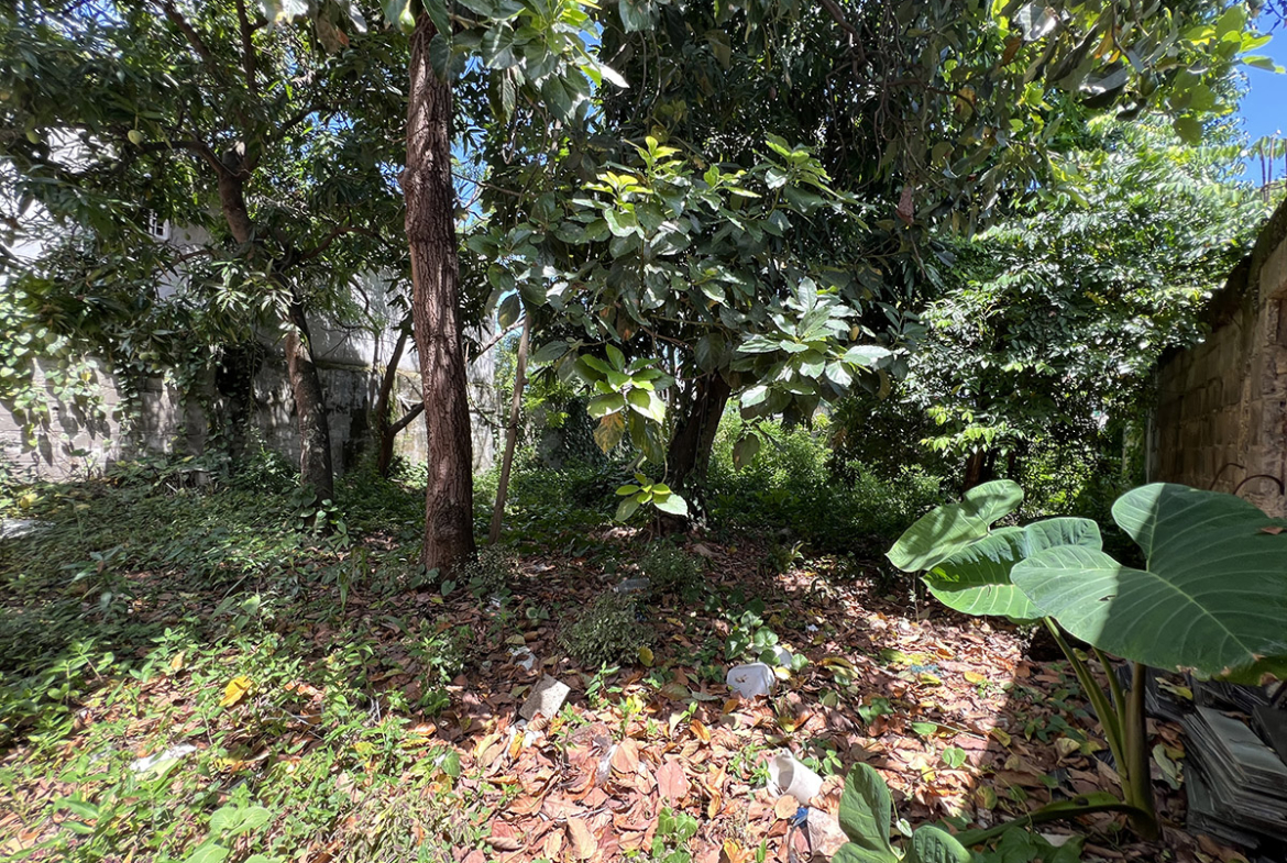 Terreno Con Casa en Venta Alma Rosa II Con Mucho Patio